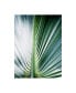 Фото #1 товара Incado Close up III Tropic Canvas Art - 15.5" x 21"