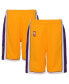 ფოტო #1 პროდუქტის Big Boys Gold Los Angeles Lakers Hardwood Classics Swingman Shorts
