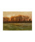 Фото #1 товара Michael Budden Sundown Flat Green Landscape Canvas Art - 20" x 25"