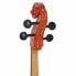 Hidersine Vivente Cello Set 4/4