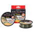 Фото #1 товара EXCALIBUR Carp 300 m Monofilament