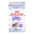 Фото #3 товара Сухой корм Royal Canin Mini Sterilised Adult 3 кг