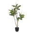Фото #1 товара Декоративное растение 116 cm Зеленый PVC Дуб