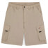 Фото #3 товара DICKIES Jackson cargo shorts