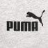 Puma Essentials 5 Inch High Waist Shorts Womens Grey Casual Athletic Bottoms 676