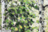 Фото #11 товара Bild gemalt Sanfter Gruß durch den Wald