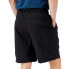 THE NORTH FACE Pull On Adventure Shorts