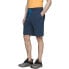 Фото #1 товара 4F M shorts H4L21-SKMD013 31S