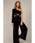 ფოტო #3 პროდუქტის Women's Avery Velvet Jumpsuit