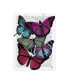 Fab Funky Big Bold Butterflies 3 Canvas Art - 19.5" x 26"