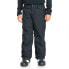 Фото #1 товара QUIKSILVER Porter Pants