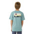 RIP CURL Surf Revivial Peaking short sleeve T-shirt