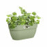 Фото #1 товара Горшок для растений elho Vibia Campana Easy Hanger Medium 24,1 x 36 x 26,5 см Зеленый