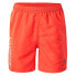 Фото #3 товара AQUAWAVE Aogash Shorts