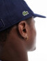 Lacoste logo baseball cap in navy