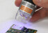 Dino-Lite AM4113T-FVW - Digital microscope - 200x - 10x - Gold - USB 2.0 - 1.3 MP