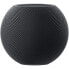 Портативный Bluetooth-динамик Apple HomePod mini Серый