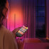 Philips Hue Gradient Light Strip Basic Set 2 Meters + Bridge