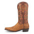 Dingo Outlaw Ostrich Print Snip Toe Cowboy Mens Brown Casual Boots DI115-230