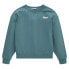 TOM TAILOR 1033144 sweatshirt