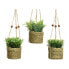 Фото #1 товара Декоративное растение Everlands 8 x 12 cm кулоны Веревка Зеленый PVC