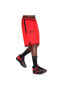 Фото #3 товара Chicago Bulls Dri-Fit NBA Erkek Kırmızı Basketbol Şortu DN9132-657