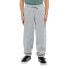 Фото #2 товара DICKIES Youth Mapleton sweat pants