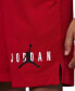 Шорты Jordan Essentials Graphic Mesh