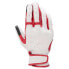 ფოტო #1 პროდუქტის ALPINESTARS Dyno leather gloves