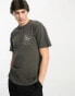 Vans enjoy it vintage back print t-shirt in grey