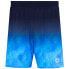 Фото #3 товара BIDI BADU Beach Spirit 7Inch Shorts