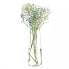 Фото #3 товара KROSNO Pure Vase, 24 cm Hoch