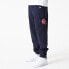 Фото #3 товара NEW ERA Lifestyle cargo pants