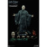 Фото #9 товара HARRY POTTER And The Deathly Hallows Lord Voldemort Figure