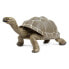 Фото #1 товара Фигурка черепахи SAFARI LTD Tortoise 2, Incredible Creatures®