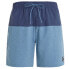 PROTEST Forta Swimming Shorts