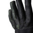 BY CITY Florida gloves