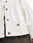 Фото #2 товара Dickies herndon jacket in white denim