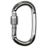 CLIMBING TECHNOLOGY Pillar SG Polished Snap Hook