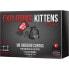 EXPLODING KITTENS Nsfw Card Game