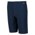 REGATTA Highton Long Shorts