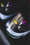 Air Max Plus Mercurial Erkek Sneakers XXV CNG-STORE