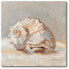 Фото #1 товара Impressionist Shell Study II Gallery-Wrapped Canvas Wall Art - 20" x 20"