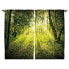 Фото #1 товара Fertiggardine Wald IV (2er-Set)