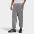 Брюки Adidas originals Metallic Track Pants FS7324