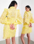 Фото #4 товара ASOS EDITION embroidered organza mini shirt dress in yellow