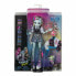 Фото #5 товара Кукла Monster High Frenkie Stein На шарнирах