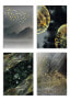 Фото #1 товара Echtes Gold Bergvögel Poster Set