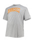 Фото #3 товара Men's Heathered Gray Tennessee Volunteers Big and Tall Arch Team Logo T-shirt