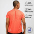 Фото #4 товара INFINITE ATHLETIC Training short sleeve T-shirt